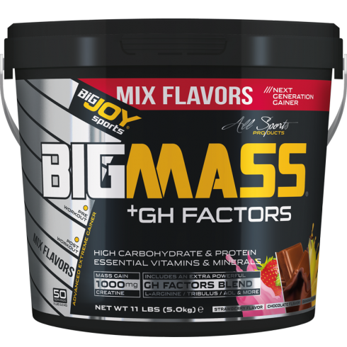 BİGJOY GH MASS 5 KG MİX