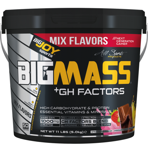 BİGJOY GH MASS 5 KG MİX