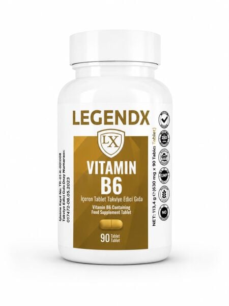 LEGENDX Vitamin B6 10 mg 90 Tablet