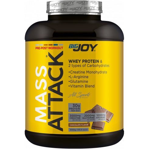 Bigjoy Sports Mass Attack 3000gr